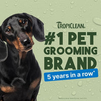 TropiClean Dog Perfume, Long Lasting Lime & Coconut Cologne, Deodorizing Spray for Smelly Dogs, After Bath Detangling Spray with Vitamin E, Safe for Cats, 8oz.