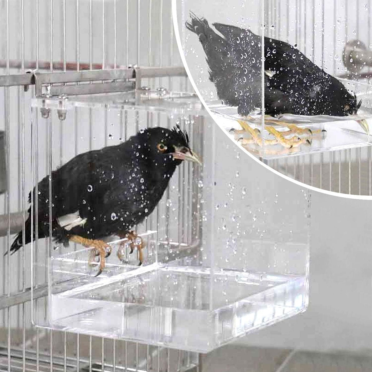 GURECOD Hanging Bird Bath Cube Bird Bathtub Bath Shower Box Bowl Cage - 6.3 x 6.3 x 6.3 inch - image 2