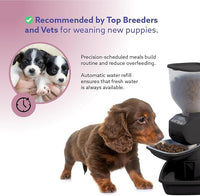 Automatic Dog & Cat Food Feeder with Water Dispenser – Smart Pet Feeder with Portion Control, OLED Display, Anti Jam Design, Battery Operated Dispenser for Small Pets - Black