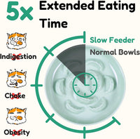Slow Feeder Bowl for Cats and Small Dogs - Green / 6.3''W x 1.5''H - image 3