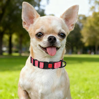 Taglory Reflective Large Dog Collar - Baby Pink / X-Small (Pack of 1) - image 2