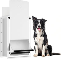 Cat Door for Wall, Energy Efficient Pet Entry Door – Essentials for Cats - Large