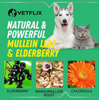 Kennel Cough Treatment for Dogs & Cats - Made in USA - Dog Allergy & Cat Asthma Relief - Mullen Leaf & Elderberry Blend - Dry, Wet & Barky Cough Relief for Dogs & Cats - All Breeds & Sizes - 2 Fl Oz