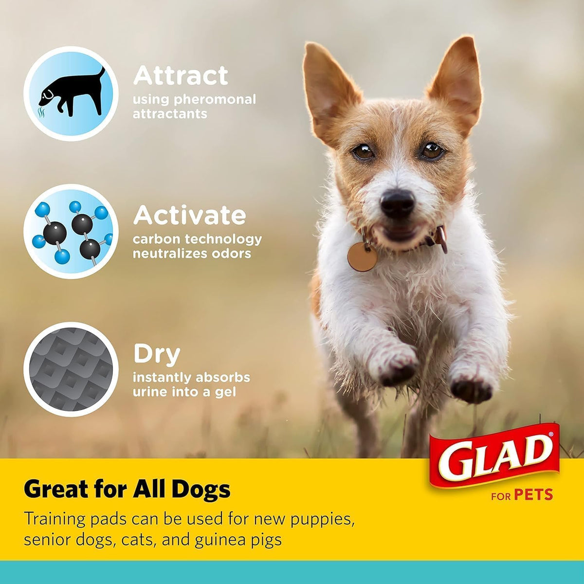 Glad for Pets, Activated Carbon Disposable, Dog Pee Pads - Medium / 240 - image 3