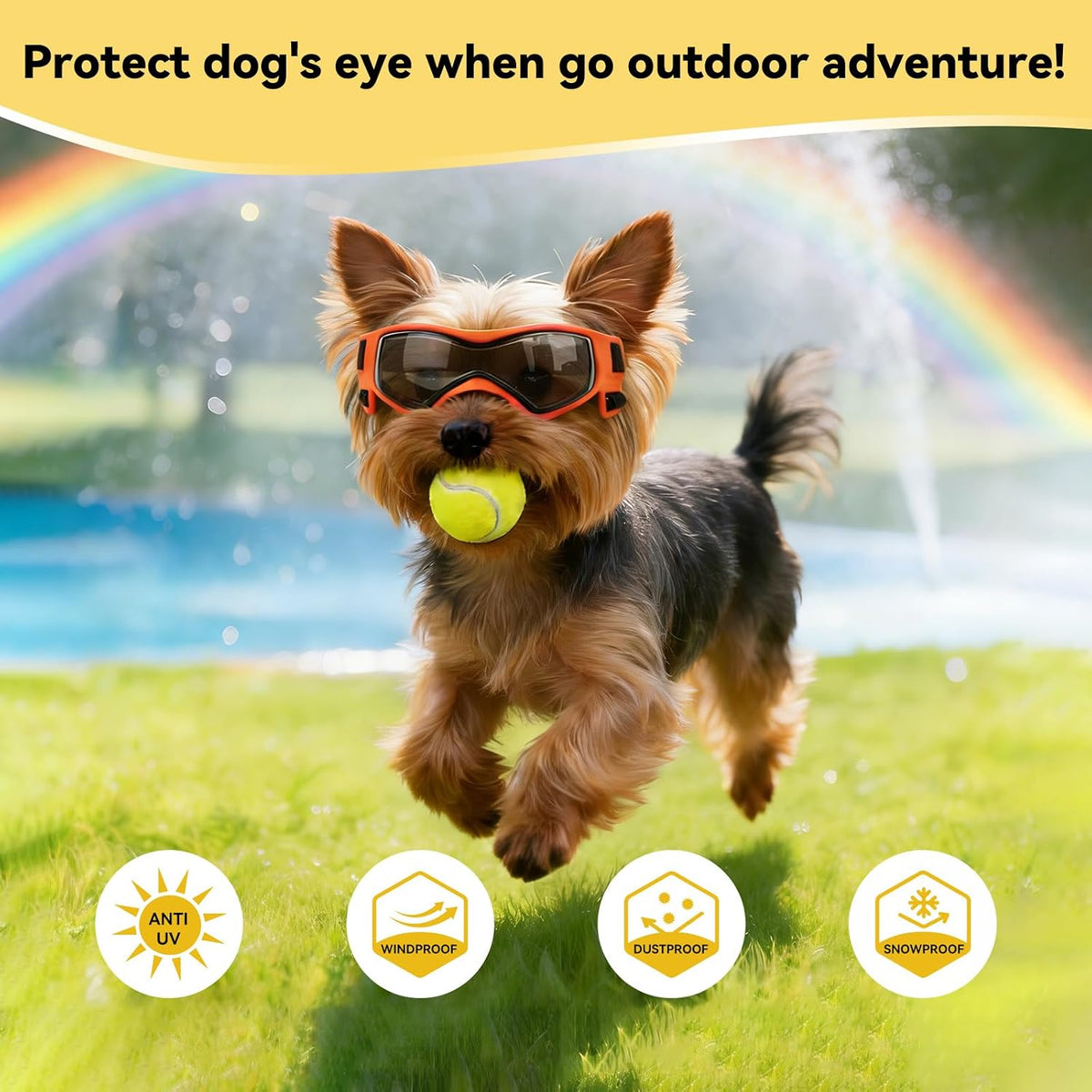 Enjoying Clear Dog Goggles Medium to Large Breed - Style Orange / X-Small Breeds - image 4