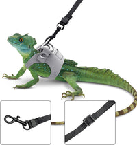 3PCS Bearded Dragon Harness and Leash Set - Grey - image 3