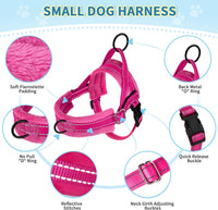 SlowTon No Pull Small Dog Harness and Leash Set with Front Clip – Essentials for Dogs - XX-Small / Fuchsia - image 4