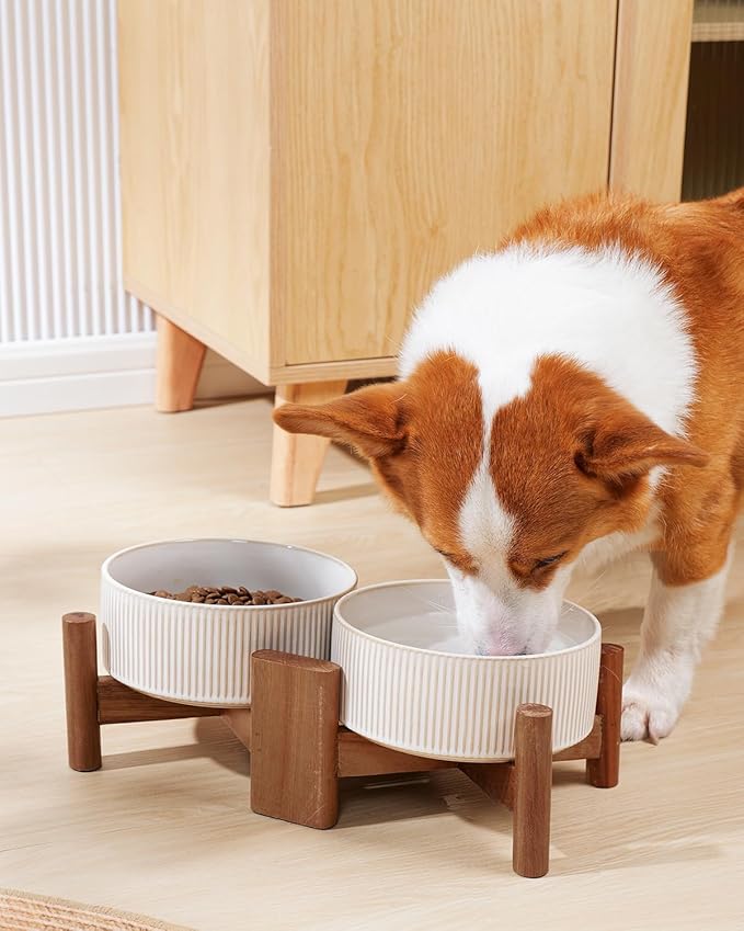 Getstar Ceramic Dog Bowls with Acacia Wood Stand, 30 fl oz, Set of 2, Dog Food Bowl, Cat Bowls (6.5 inches) (Vintage White)