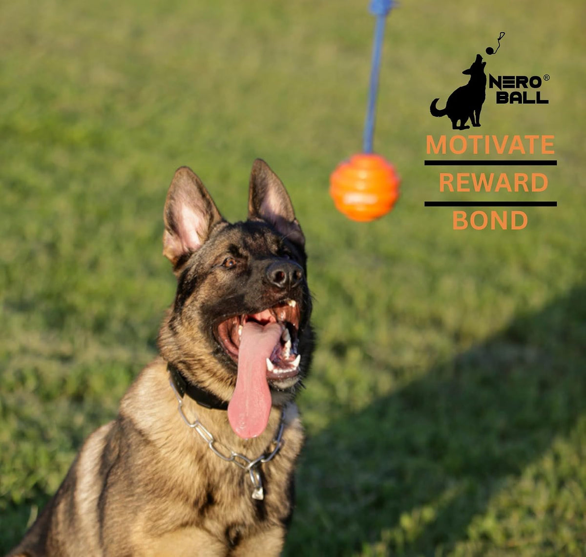 Nero Ball Pro K-9 Dog Training Ball on Rope - image 3