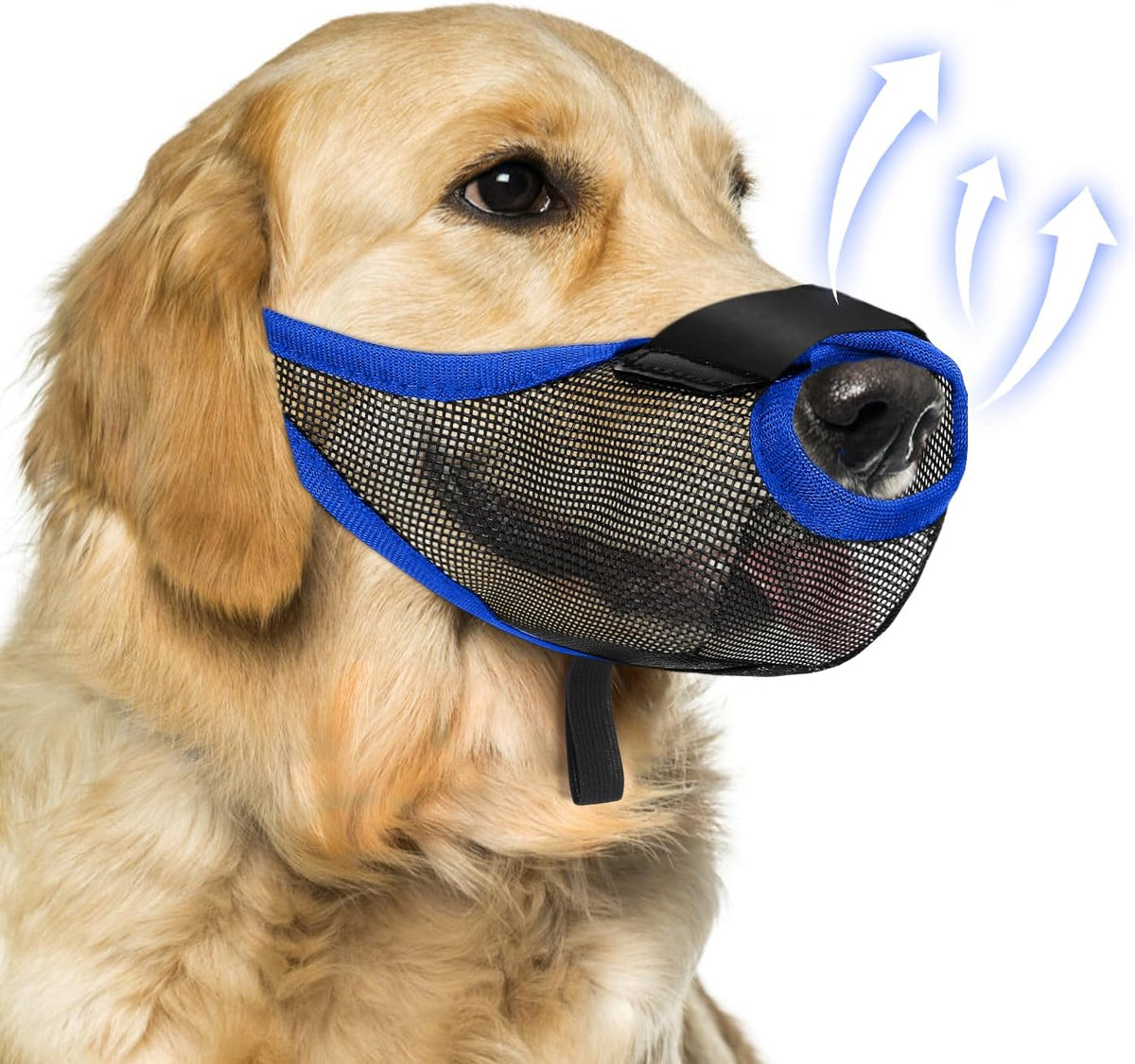 Dog Muzzle, Soft Air Mesh Muzzles for Medium Sized Dogs - Blue / S