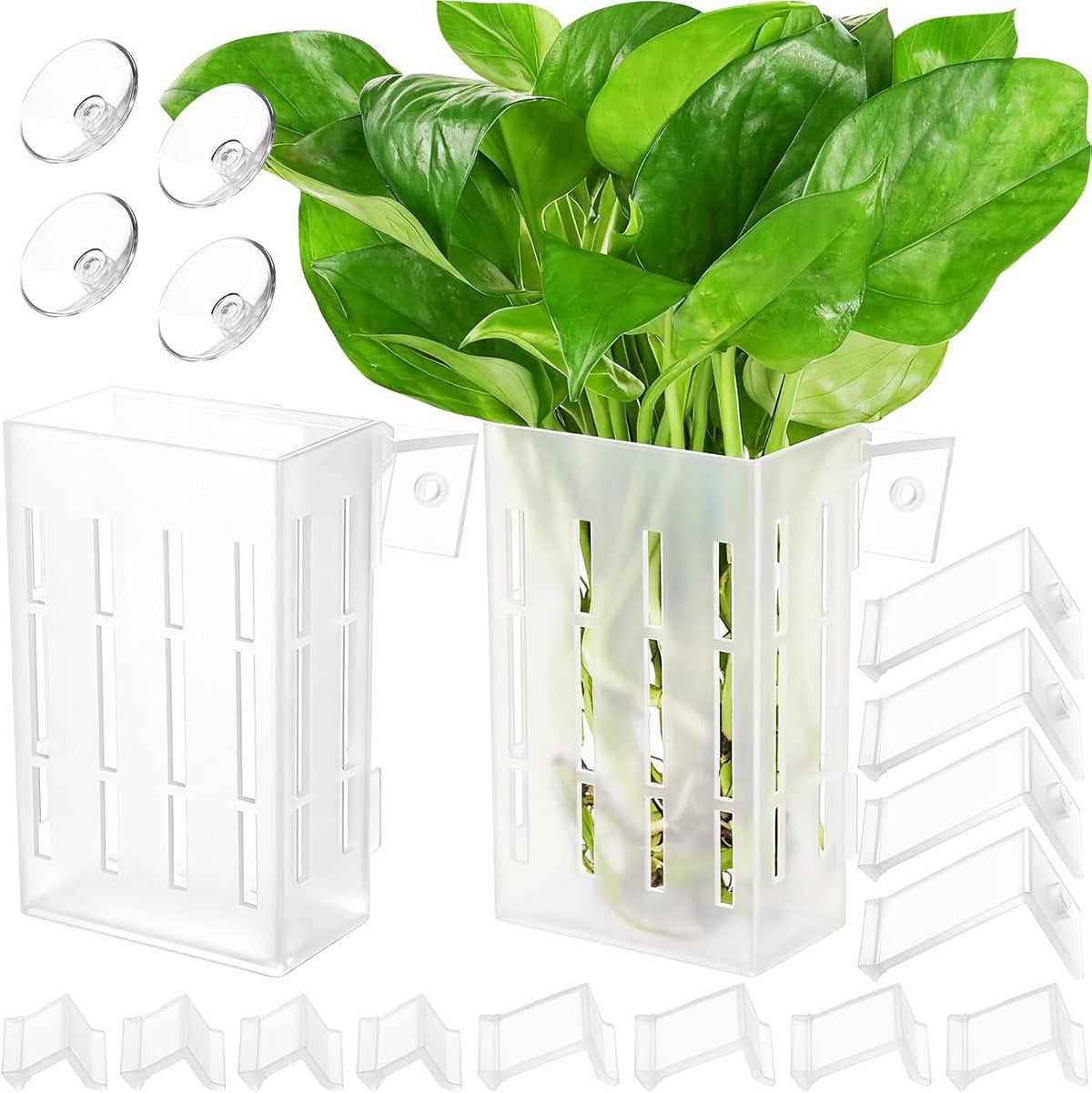 Upgraded Large Aquarium Plant Holder with Hooks and Suction Cups - Semitransparent-2 Pack