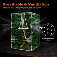 AZV Jumping Spider Enclosure Kit - Green / Large - image 3