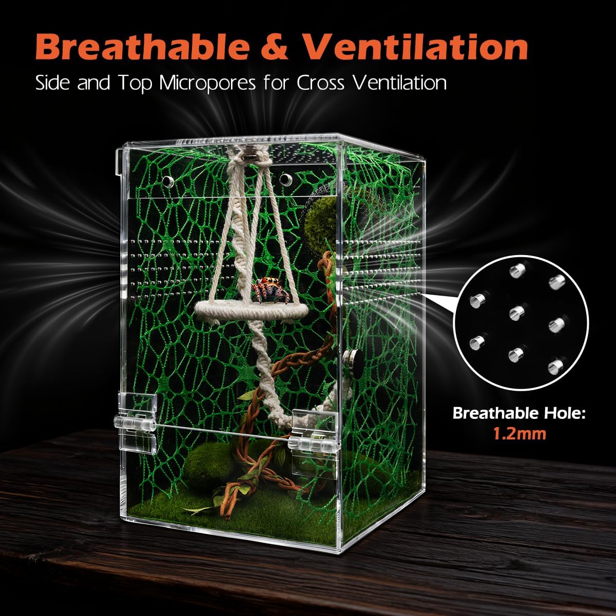 AZV Jumping Spider Enclosure Kit - Green / Large - image 3