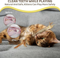 Catnip for Cats,Interactive Silvervine Sticks for Cats, Loofah Chew Cat Toys for Indoor Cats & Kitten Teething Toys & Cat Chew Toy,6 Pack