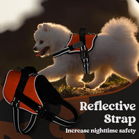 rabbitgoo Dog Harness Medium Sized, Easy On Pet Vest with One Buckle, No Pull Adjustable Service Harness with D-Ring & Handle, Reflective for Safety Walking, Training, Orange, M