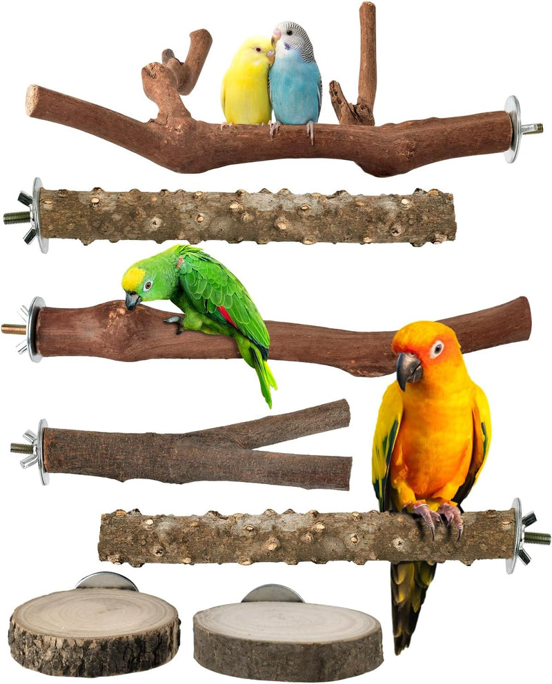 Bissap Bird Perch Stand 7PCS