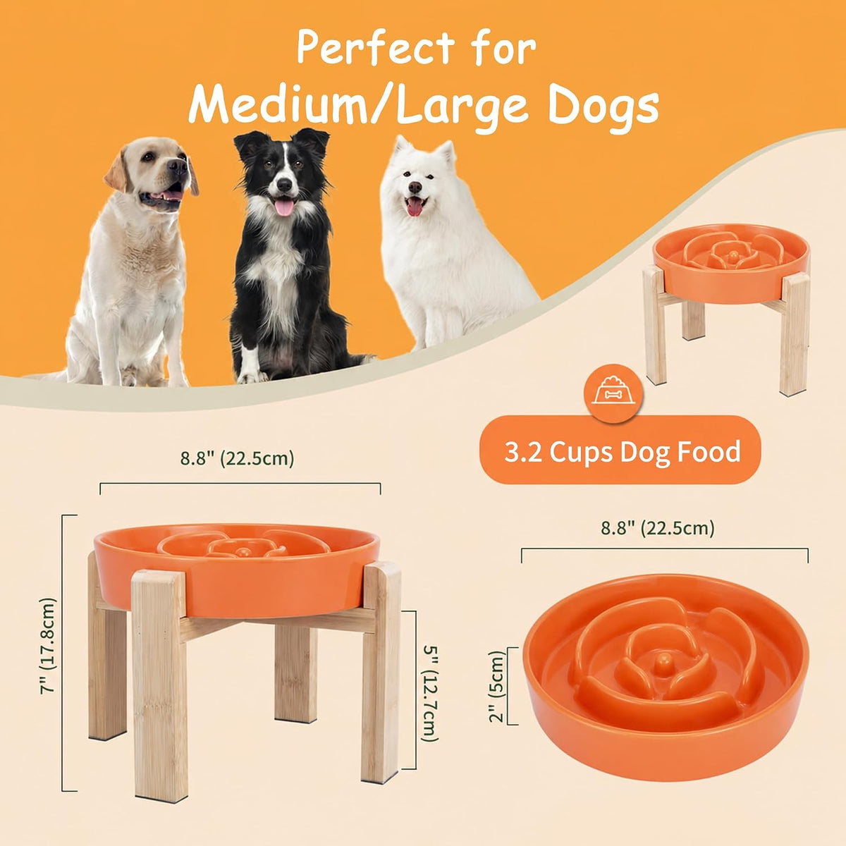 Elevated Slow Feeder Dog Bowl - Orange / 3.2 Cups - image 2