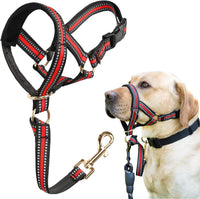 Muzzle Leash for Heavy Pullers, No Pull Stylish Head Halter – Essentials for Dogs - Red / M (Snout Cir: 9½"-11”)