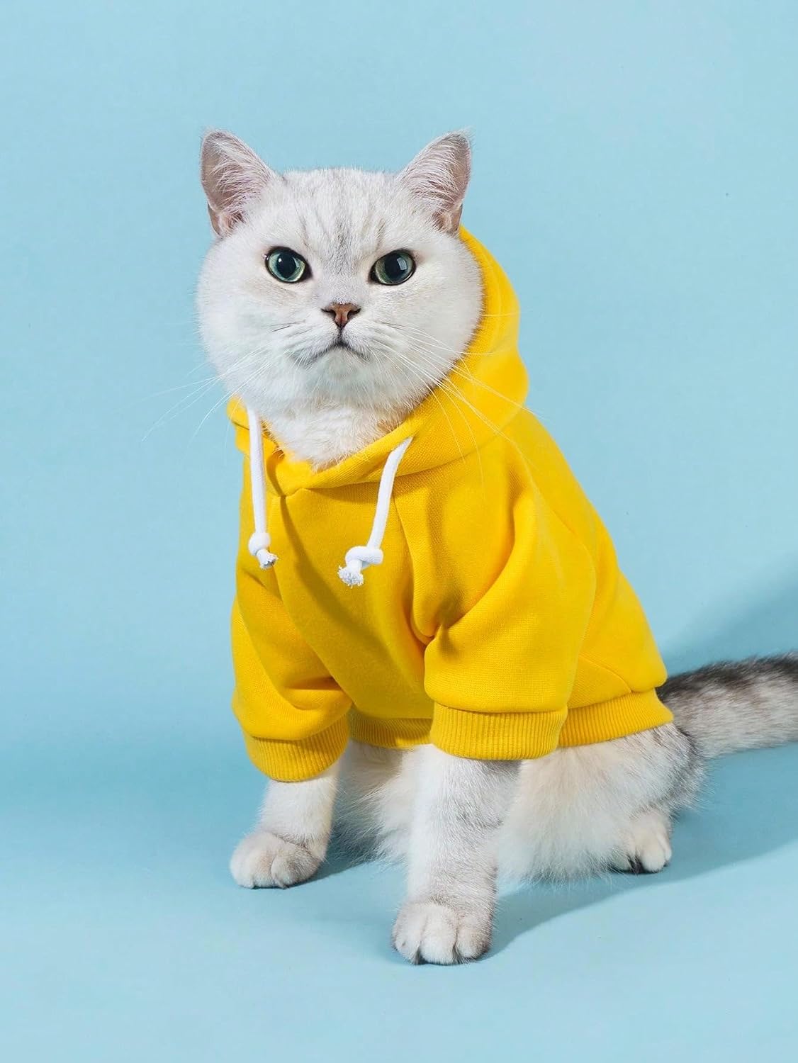 Basic Dog Hoodie Sweatshirt Puppy Sweater Warm Cat Costumes Pet - Medium / Yellow - image 3