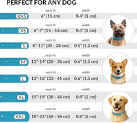 CollarDirect Rolled Leather Dog Collar, Soft Padded Round Puppy Collar, Handmade Genuine Leather Collar Dog Small Large Cat Collars 13 Colors (6-7 Inch, Light Blue)