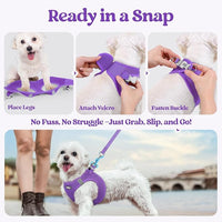 rabbitgoo Dog Harness Small Sized and Leash Set, Step in Soft Light Puppy Vest, Breathable Mesh Pet Harness, Reflective for Outdoor Safe Walking, Purple XXXS