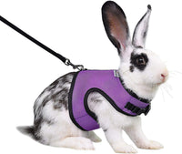 Niteangel Adjustable Soft Harness with Elastic Leash for Rabbits – Essentials for Small Pets - M / Purple