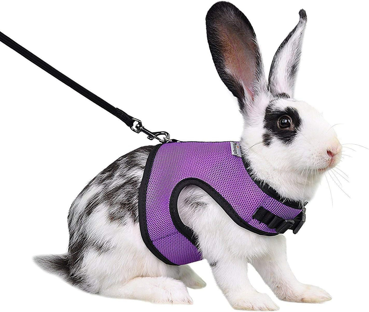Niteangel Adjustable Soft Harness with Elastic Leash for Rabbits – Essentials for Small Pets - M / Purple