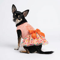 Fitwarm Birthday Girl Dog Tulle Dress - Small / Happy Easter - image 3