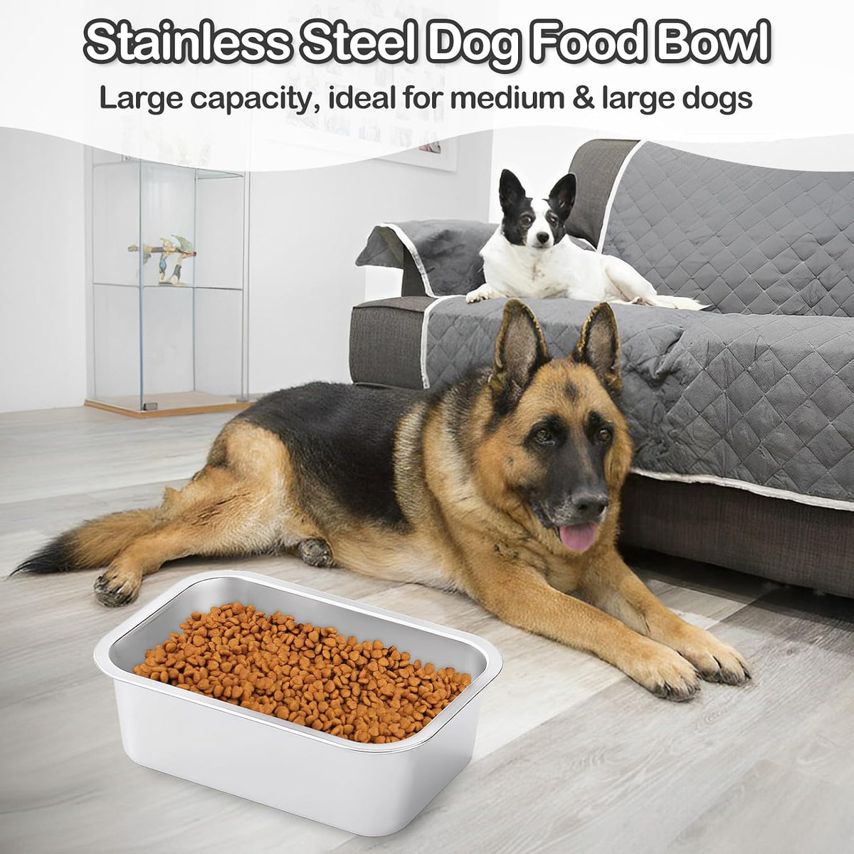 Stainless Steel Dog Water Bowl - 2 Pack-1.25 Gallon - image 3