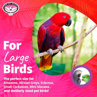 Super Bird Creations SB1153 Sure-Grip Grooming Perch Large, Medium/Large Bird Size - Enriches Beak and Foot Health - Ideal for Parrots Parakeets Quakers -Large Bird Size, 1 1/4" diam x 12" (Large)