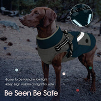 Dog Winter Coat with Harness Built in - Large(Chest:24.4 in) / Turquoise Green - image 4