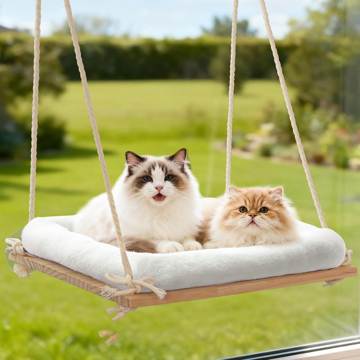 Cat Window Perch Hammock with Solid Wood Seat & Plush Cushion – Essentials for Cats - Natural Wood / Suction Cup Mount - Large
