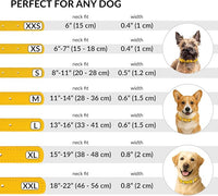 CollarDirect Rolled Leather Dog Collar, Soft Padded Round Puppy Collar, Handmade Genuine Leather Collar Dog Small Large Cat Collars 13 Colors (11-14 Inch, Yellow Textured)