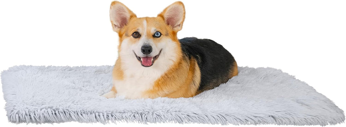 Best Friends by Sheri Dog Blanket, Shag Faux Fur - Frost / 30" x 40"