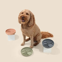 The Slowdown Bowl Silicone Slow Feeder for Dogs & Puppies, Slow Eating Modern Lick Mat Design, Reduces Gulping, Fits 2 Cups 7.5” Across x 1.5” Tall, Mealtime Challenge, Medium-Charcoal
