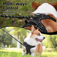 PUPTECK No Pull Halloween Dog Harness for Large - Black / Large / Harness Only - image 3