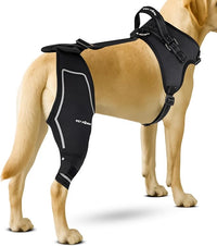 Petpanm- Adjustable Dog Knee Brace- Right Hind Leg with Integreted Harness- Premium Support for Torn ACL, Sprains & Strains Recovery, Enhances Mobility, Comfortable Neoprene. (Medium)