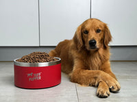 Tuff Pupper 100 oz Heavy Duty Insulated Stainless Steel Dog Bowl - 188oz / Crimson Red - image 2