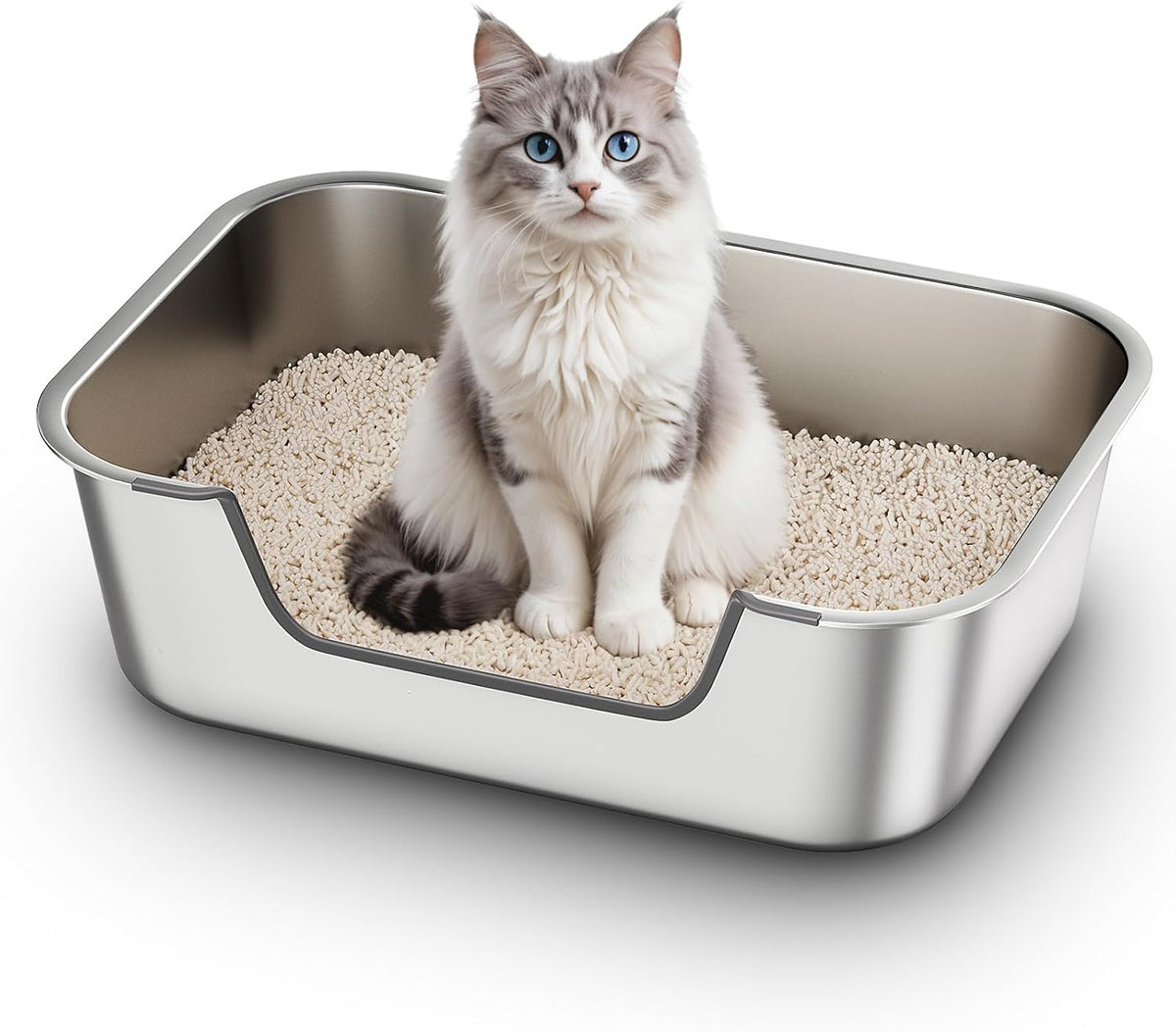 Stainless Steel Cat Litter Box with Low Entry - Silver / 19.5"L x 13.6"W x 5.9"H