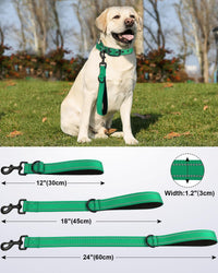 Joytale Short Dog Leash for Close Control & Training, 18" - 1 ft / Teal - image 2