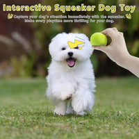 Magicorange 10 Pack Squeaky Mini Tennis Balls - 40 Pack / Yellow - image 3