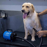 METROVAC AFTD-3: Air Force Commander 2-Speed Dryer - Blue | 4.0 HP | Professional Pet Grooming Blower | Made in USA