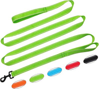 10FT Dog Leash with Traffic Handle Reflective Large Medium Dogs – Essentials for Dogs - 10ft x 1 in / green
