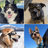 Dog Goggles for Large Breeds - Clear L - image 2
