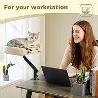 PAWZ Road Cat Desk Bed for Indoor Cats, Cat Bed for Desk Supports Up to 50 lbs, 360° Rotation & Adjustable, Nest Desktop Attachment Cats Hammock for Table, White