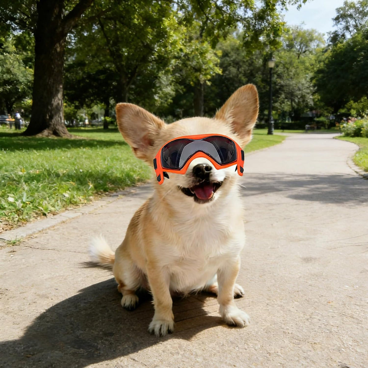 Dog Sunglasses for Extra Small Breed UV Protection Windproof XS Dog - X-Small / Orange - image 2