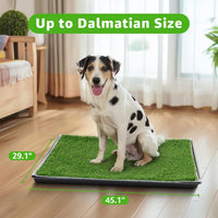 Dog Grass Pad with Tray for Dogs Puppy Potty Training to Pee & Poop - 3-layered design / XXL-45.1"x29.1" - image 2