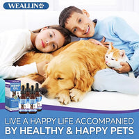 Hemp Oil for Dogs and Cats - Omega-3, 6, 9 Rich Organic Extract - Eases Pet Anxiety, Pain, Skin & Coat Health - Stress Relief, Hip & Joint Support - Calming Treats (4 Pack)