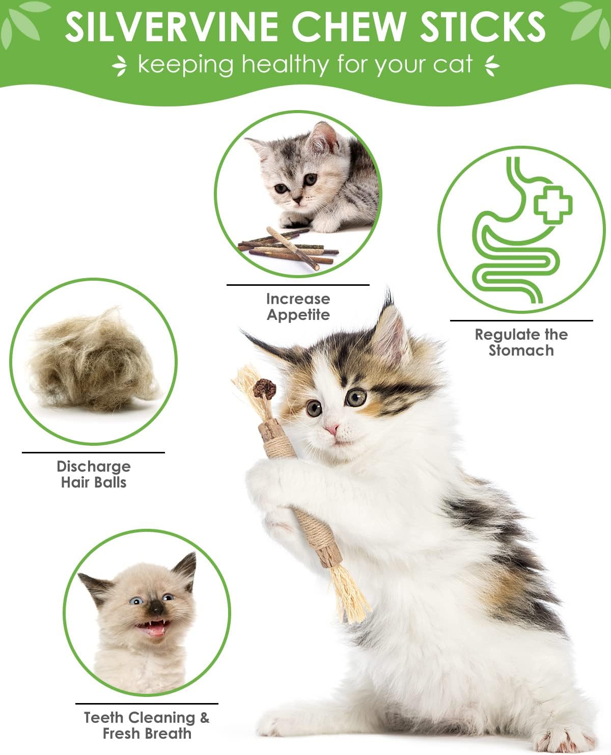 TINDTOP Catnip Chew Toys for Cats - 12 Pack - image 3