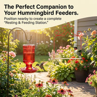 4-Pack Metal Hummingbird Swings Black – Essentials for Birds - Red - image 4